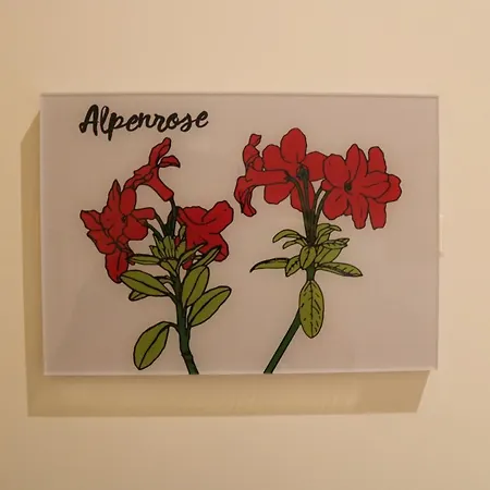 Apartment Im Stern Inklusive Koenigscard *