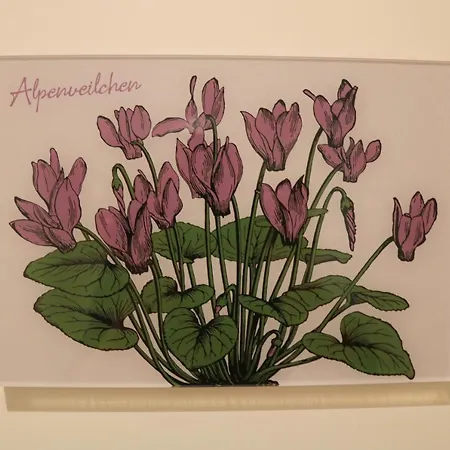 Apartment Im Stern Inklusive Koenigscard