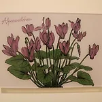 Appartement Im Stern Inklusive Koenigscard