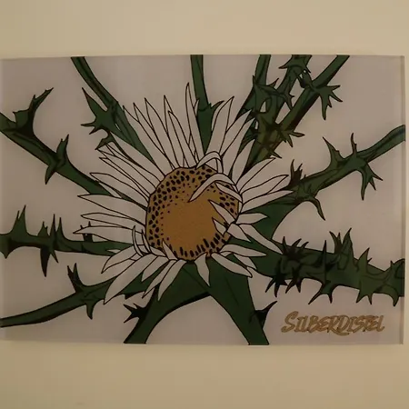 Im Stern Inklusive Koenigscard Apartmán Unterammergau