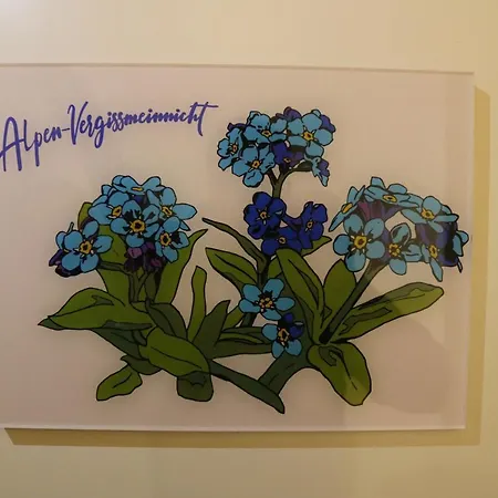 Im Stern Inklusive Koenigscard *